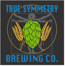 TRUE SYMMETRY BREWING CO.