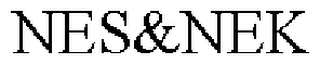 NES&NEK