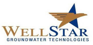 WELLSTAR GROUNDWATER TECHNOLOGIES