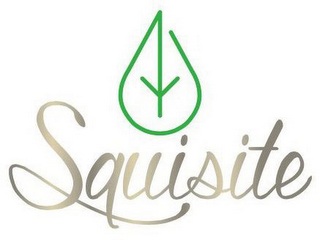 SQUISITE