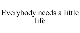 EVERYBODY NEEDS A LITTLE LIFE