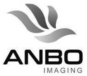 ANBO IMAGING