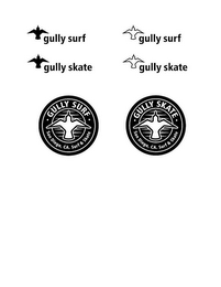 GULLY SURF, GULLY SURF, GULLY SKATE, GULLY SKATE, GULLY SURF SAN DIEGO, CA. SURF & SKATE