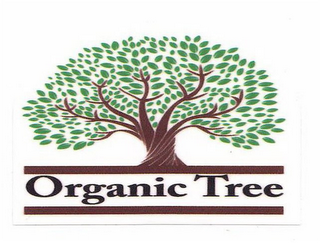 ORGANIC TREE