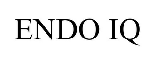 ENDO IQ