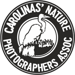 CAROLINAS' NATURE PHOTOGRAPHERS ASSOC