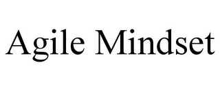 AGILE MINDSET