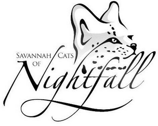 SAVANNAH CATS OF NIGHTFALL