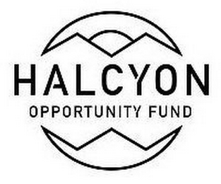 HALCYON OPPORTUNITY FUND