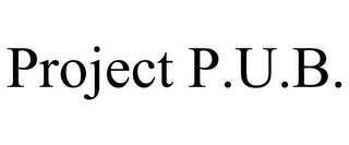 PROJECT P.U.B.