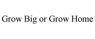 GROW BIG OR GROW HOME