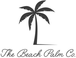 THE BEACH PALM CO.