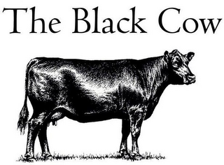 THE BLACK COW