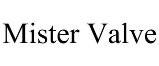 MISTER VALVE