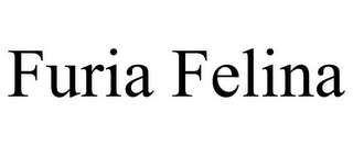 FURIA FELINA