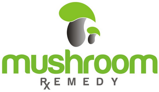 MUSHROOM REMEDY