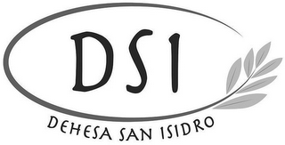 DSI DEHESA SAN ISIDRO