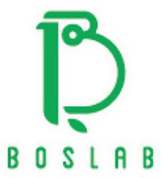 B BOS LAB