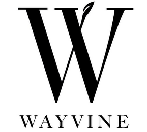 W WAYVINE
