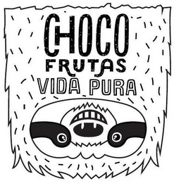 CHOCO FRUTAS VIDA PURA