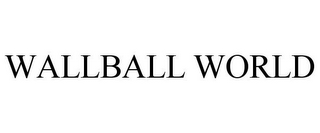 WALLBALL WORLD