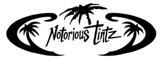 NOTORIOUS TINTZ