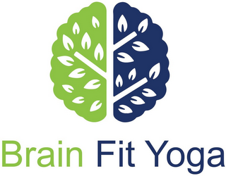 BRAIN FIT YOGA