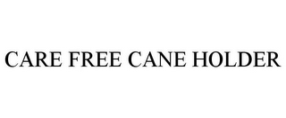 CARE FREE CANE HOLDER
