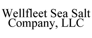 WELLFLEET SEA SALT COMPANY, LLC