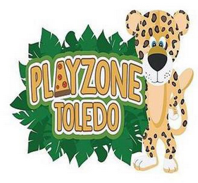 PLAYZONE TOLEDO