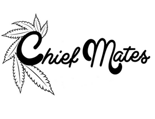 CHIEF MATES