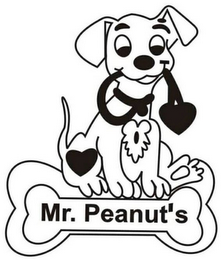 MR. PEANUT'S