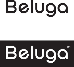 BELUGA