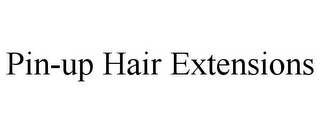 PIN-UP HAIR EXTENSIONS