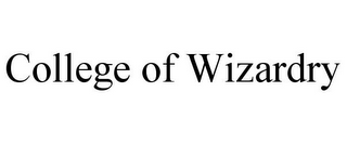 COLLEGE OF WIZARDRY