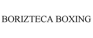 BORIZTECA BOXING