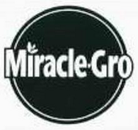 MIRACLE-GRO