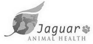 JAGUAR ANIMAL HEALTH