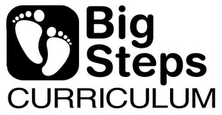 BIG STEPS CURRICULUM