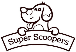 SUPER SCOOPERS