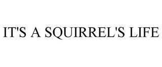 IT'S A SQUIRREL'S LIFE