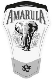 AMARULA