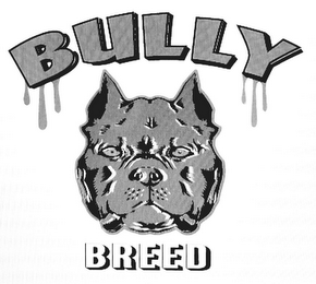 BULLY BREED