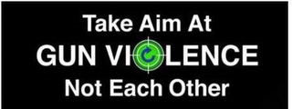 TAKE AIM AT GUN VIOLENCE NOT EACH OTHER