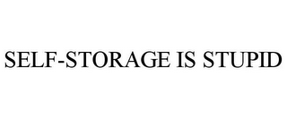 SELF-STORAGE IS STUPID