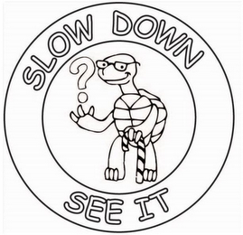 SLOW DOWN SEE IT ?