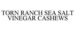 TORN RANCH SEA SALT VINEGAR CASHEWS