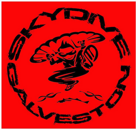SKYDIVE GALVESTON