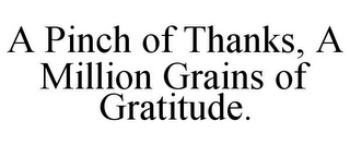 A PINCH OF THANKS, A MILLION GRAINS OF GRATITUDE.