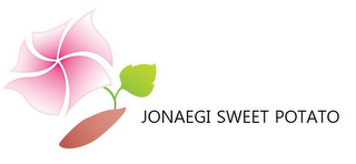 JONAEGI SWEET POTATO